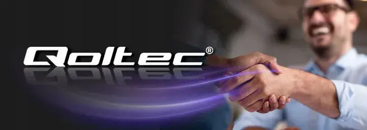 Szybka dostawa Prostownik ładowarka do akumulatorów LIFEPO4 z funkcją naprawy 12-24V 10A