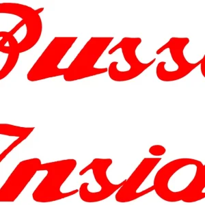 Kup teraz ALFA ROMEO Busso Inside wlepa naklejka kolory kolor: Czarny, rozmiar w cm: