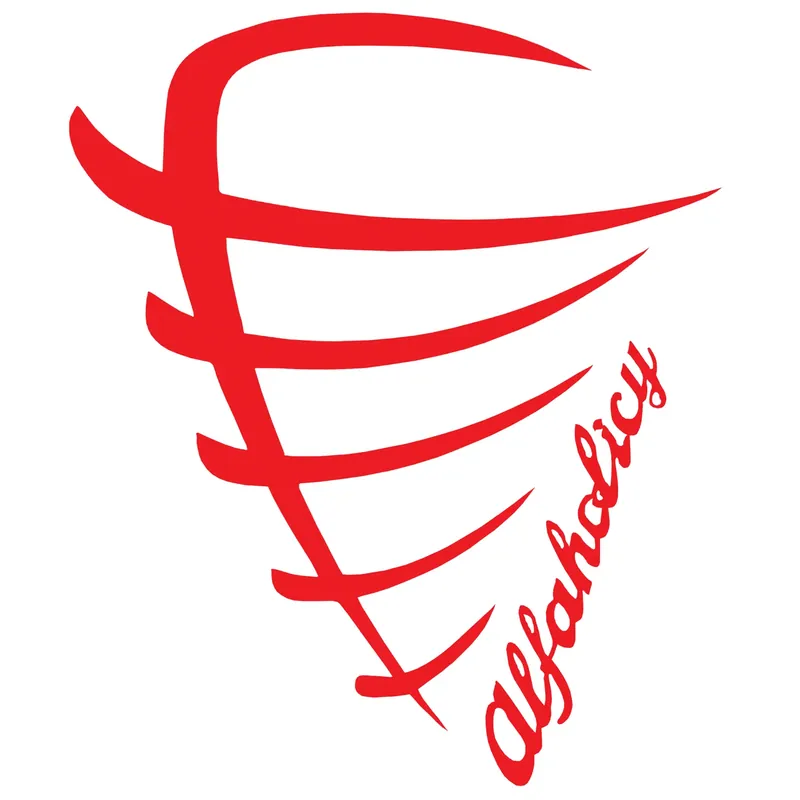 ALFA ROMEO grill Alfaholicy wlepa naklejka kolor: Czarny, rozmiar w cm: 50 Wyprzedaż