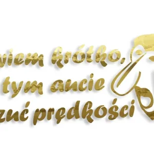 Bezpieczna płatność Wycinana naklejka NOSACZ JANUSZ w tym aucie nie czuć prędkości złoty chrom