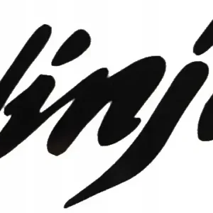 Rabat NAKLEJKA AUTO SZYBĘ NINJA