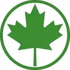 Zwrot pieniędzy NAKLEJKA NA AUTO SZYBĘ LIŚĆ MŁODY KIEROWCA 7CM