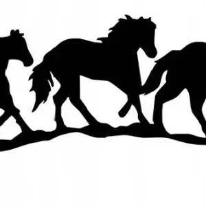 NAKLEJKA NA AUTO SZYBĘ TRZY KONIE NA DRODZE Wyprzedaż