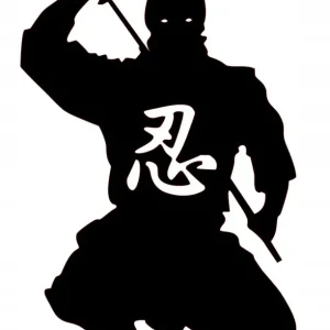 Oryginalny NAKLEJKA NA AUTO SZYBĘ NINJA