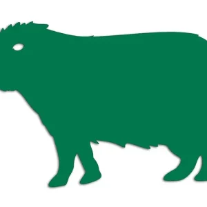 Wycinana naklejka KAPIBARA zielona - J and A Bezpieczna płatność