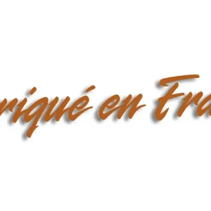 Wycinana naklejka FABRIQUE EN FRANCE renault peugeot citroen brązowa Zamów teraz