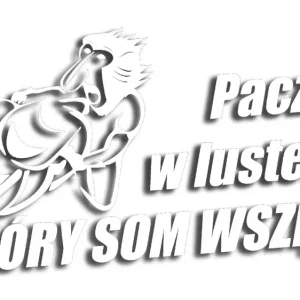 Wycinana naklejka NOSACZ JANUSZ PATRZ W LUSTERKA biała Ekspresowa dostawa