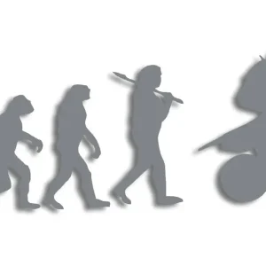 Wycinana naklejka TEORIA EWOLUCJI ktm husqvarna szara Rabat