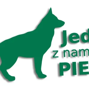 Wyprzedaż Wycinana naklejka JEDZIE Z NAMI PIES zielona