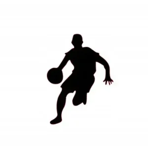 NAKLEJKA NA AUTO, SAMOCHÓD, SZYBĘ KOSZYKARZ Popularny