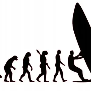 NAKLEJKA BEZ TŁA NA AUTO SAMOCHÓD SZYBĘ WINDSURFING EWOLUCJA Oferta