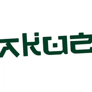 Szybka dostawa Wycinana naklejka YAKUZA - NAPIS - JAPAN - JAPONIA ciemny zielony