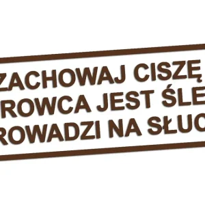 Wycinana naklejka ZACHOWAJ CISZĘ KIEROWCA JEST ŚLEPY ciemny brązowy Bezpieczna płatność
