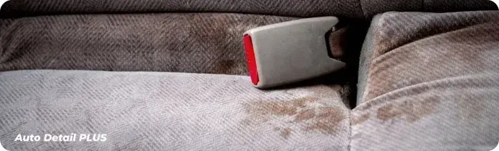 Bezpieczna płatność GLOBAL Auto Detail Plus S700 5l prespray do prania tapicerki dywanów PR4