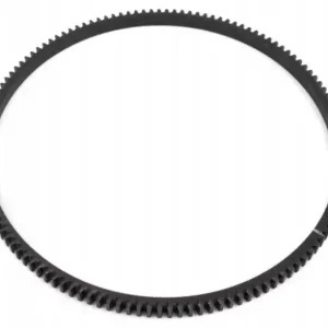 Wieniec koła zamachowego 04905430 Szybka dostawa