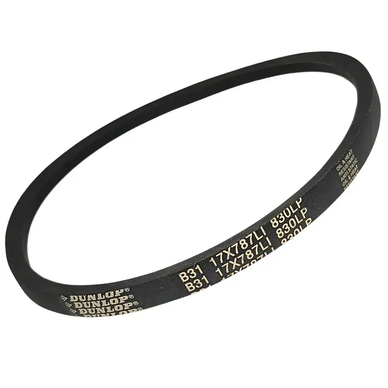 Oferta limitowana Pas pasek klinowy B31 17x787 Li / 830 WHITE DUNLOP