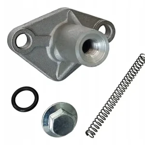 Ekspresowa dostawa Napinacz łańcucha rozrządu - GP1 BLADE R