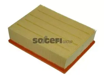 A1119 Purflux Filtr Powietrza Autentyczny